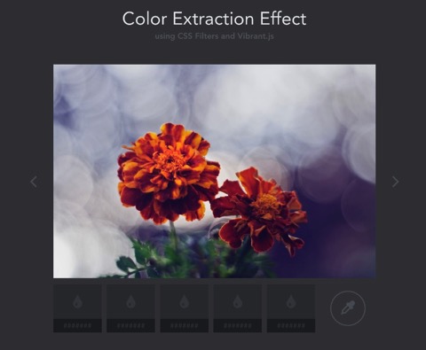 写真から色を抽出するエフェクト「Color Extraction Effect」