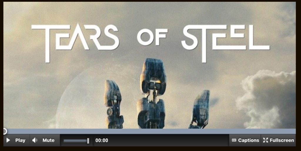 アクセシビリティとカスタマイズに重点を置いたHTML5 メディア プレーヤー「Acorn Media Player」